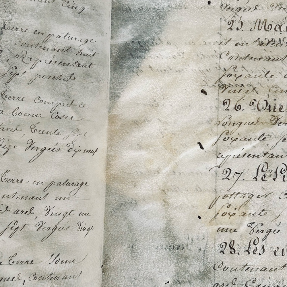 ***SOLD***1787 French Vellum Parchment Handwritten Manuscript Legal Document - Picture 5 of 12